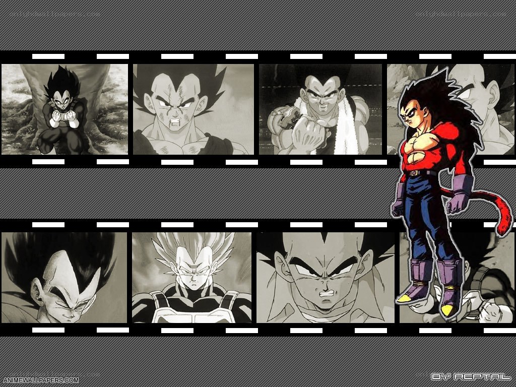 Vegeta transformation sequence