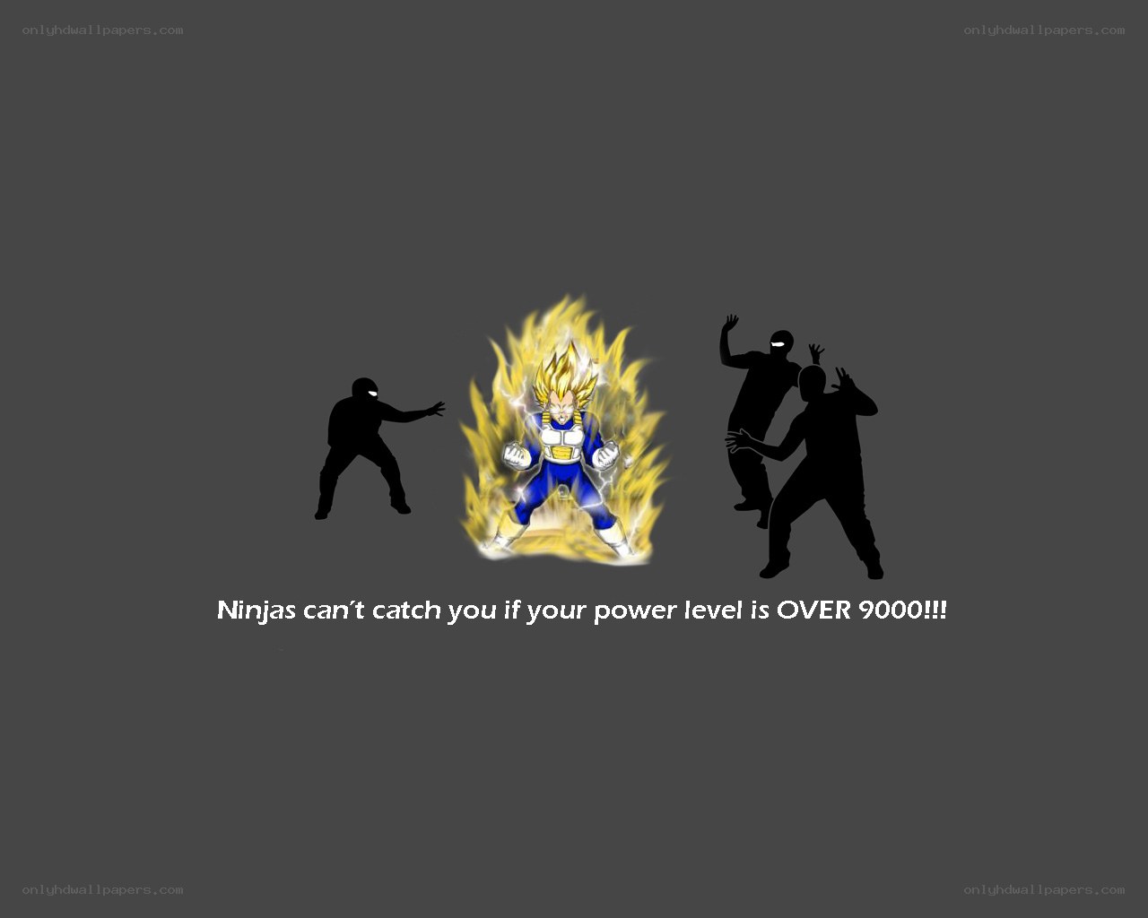 Vegeta vs ninjas