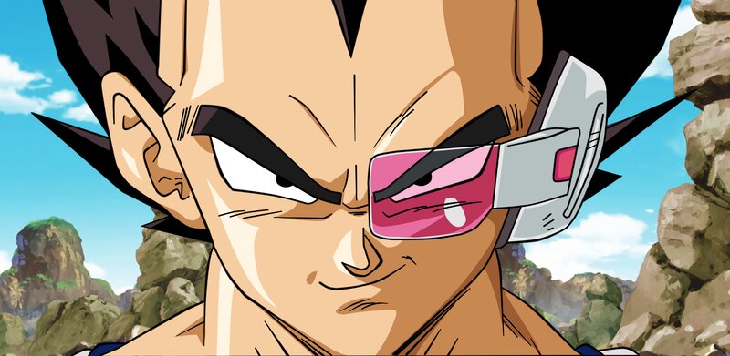 Vegeta with Sunglasses — Brown