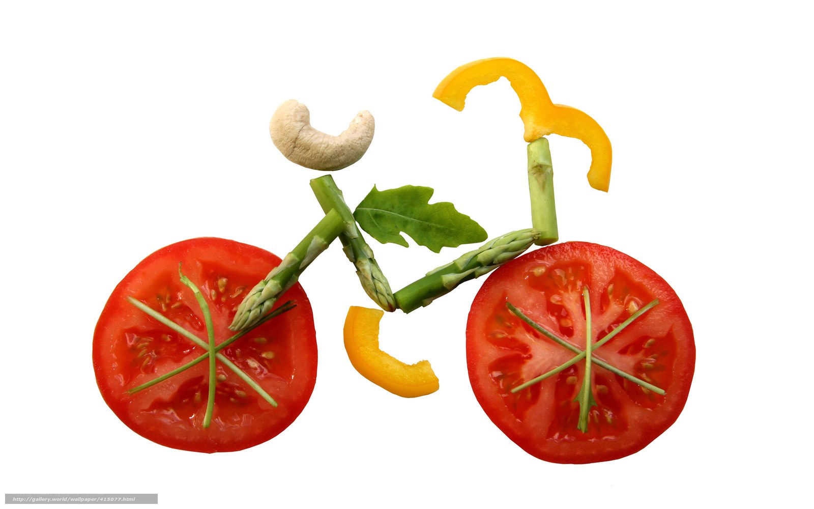 vegetable bicycle art