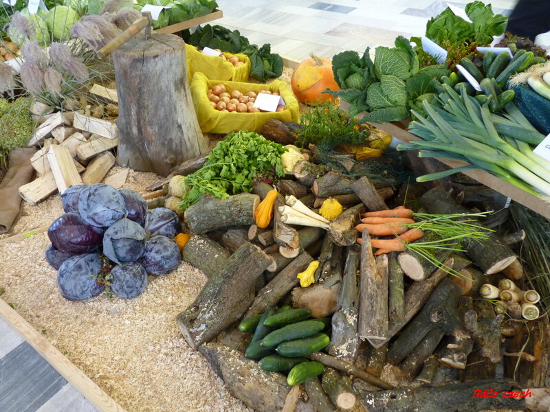 Vegetable Display with Logs