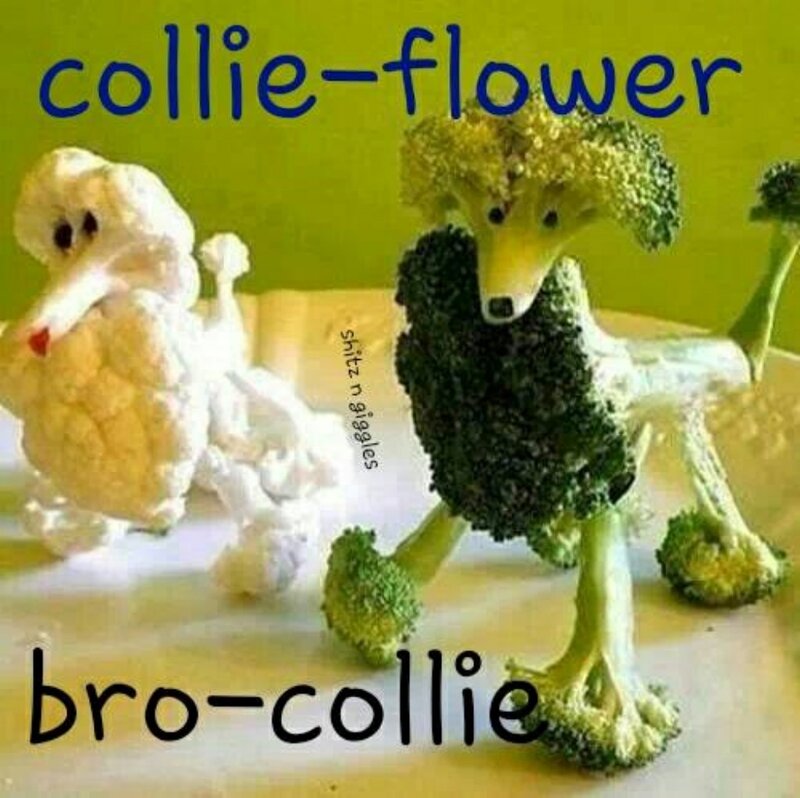 Vegetable Dogs