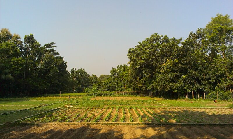 Vegetable Garden Plots