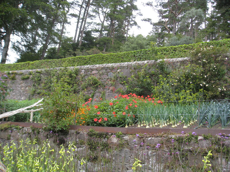 Vegetable Garden with Flowers