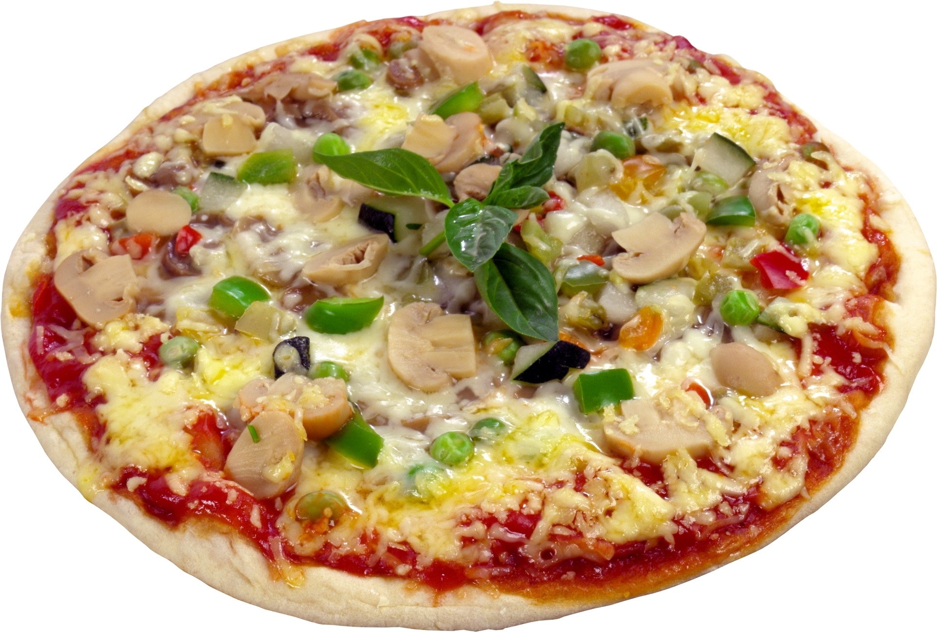 vegetable pizza with mushrooms