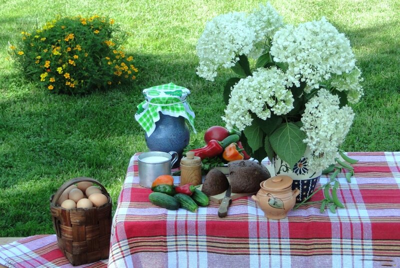 Vegetables and Eggs on Table