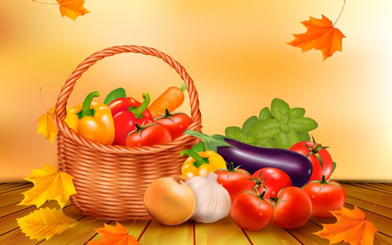 Vegetables in a Basket — Orange