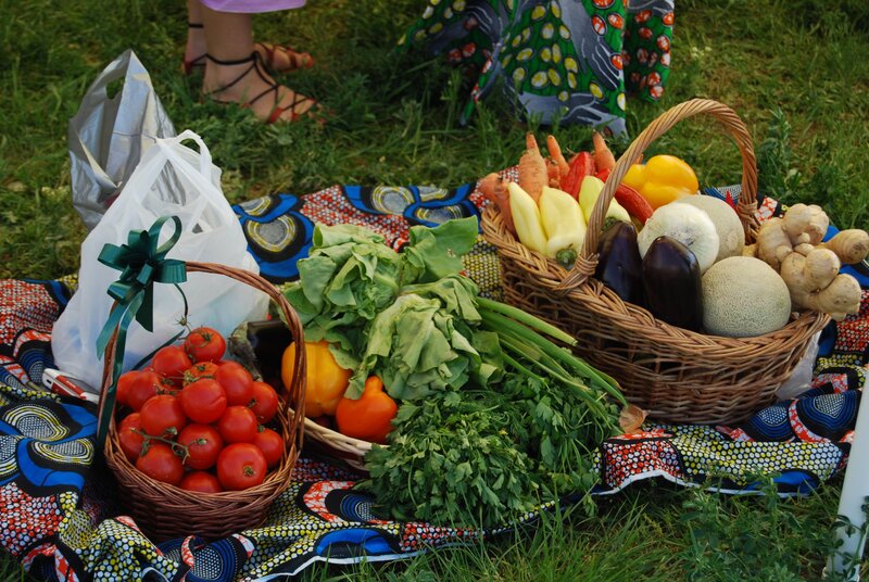 Vegetables on Blanket