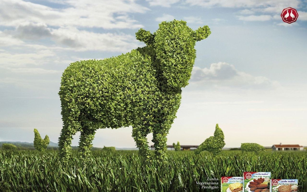 Vegetarian food advertisement