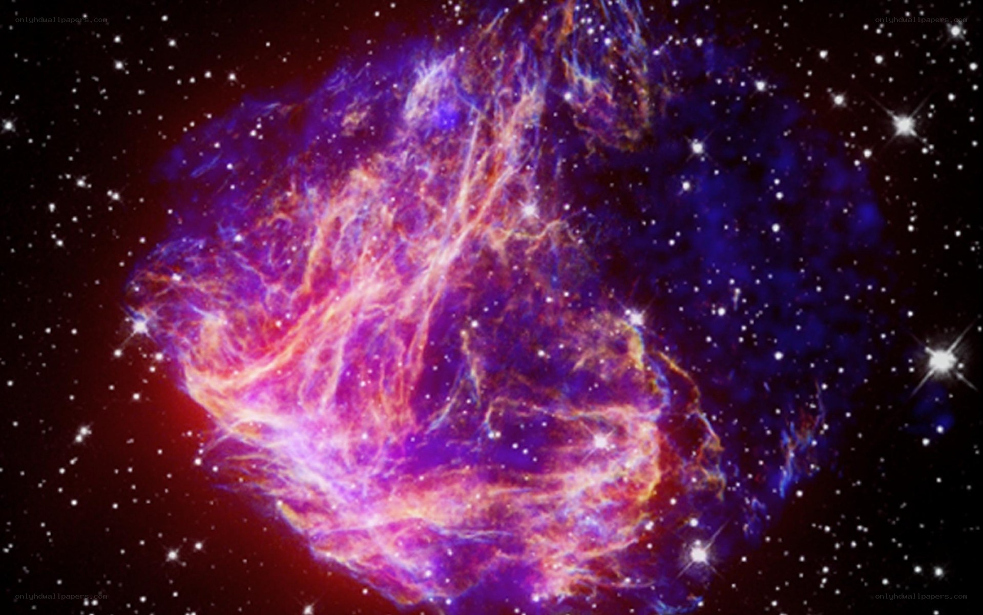 Vela Supernova Remnant