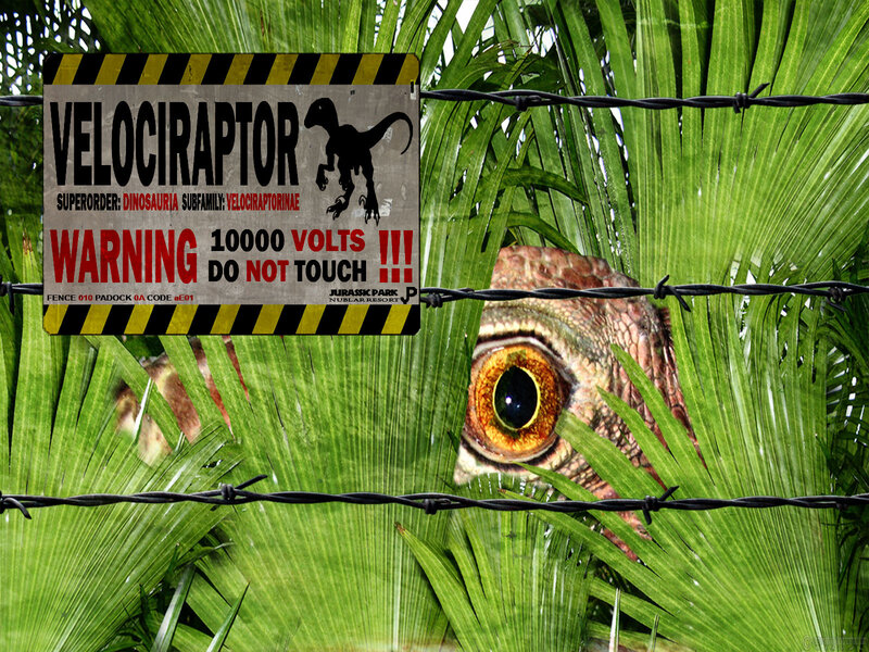 Velociraptor Eye