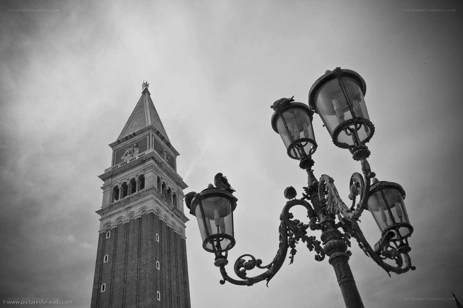 Venetian bell tower and lamp post