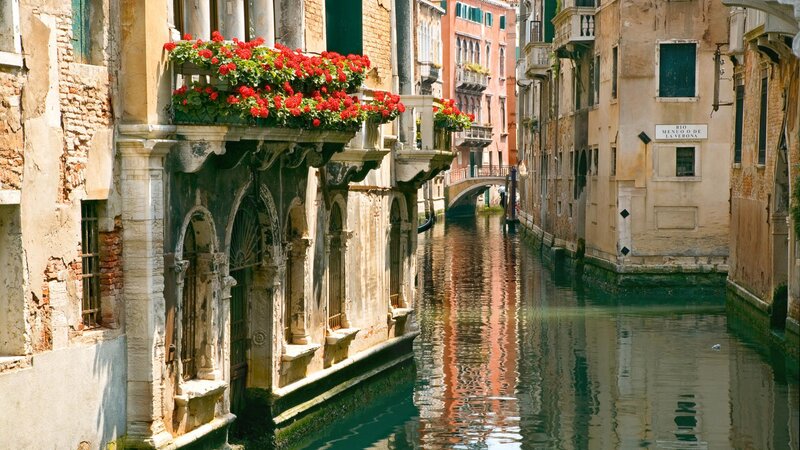 Venetian canal with flowers