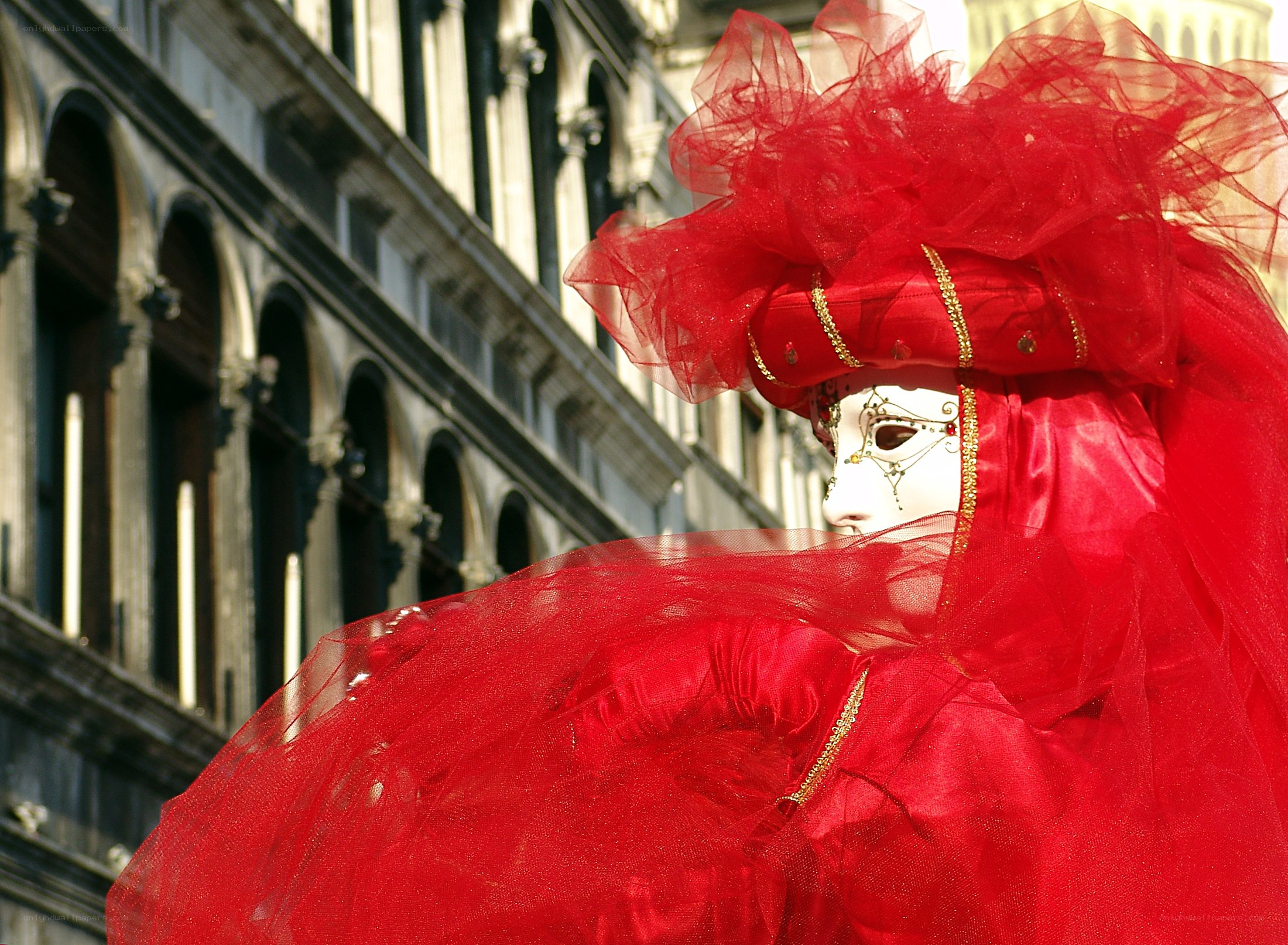 Venetian carnival mask