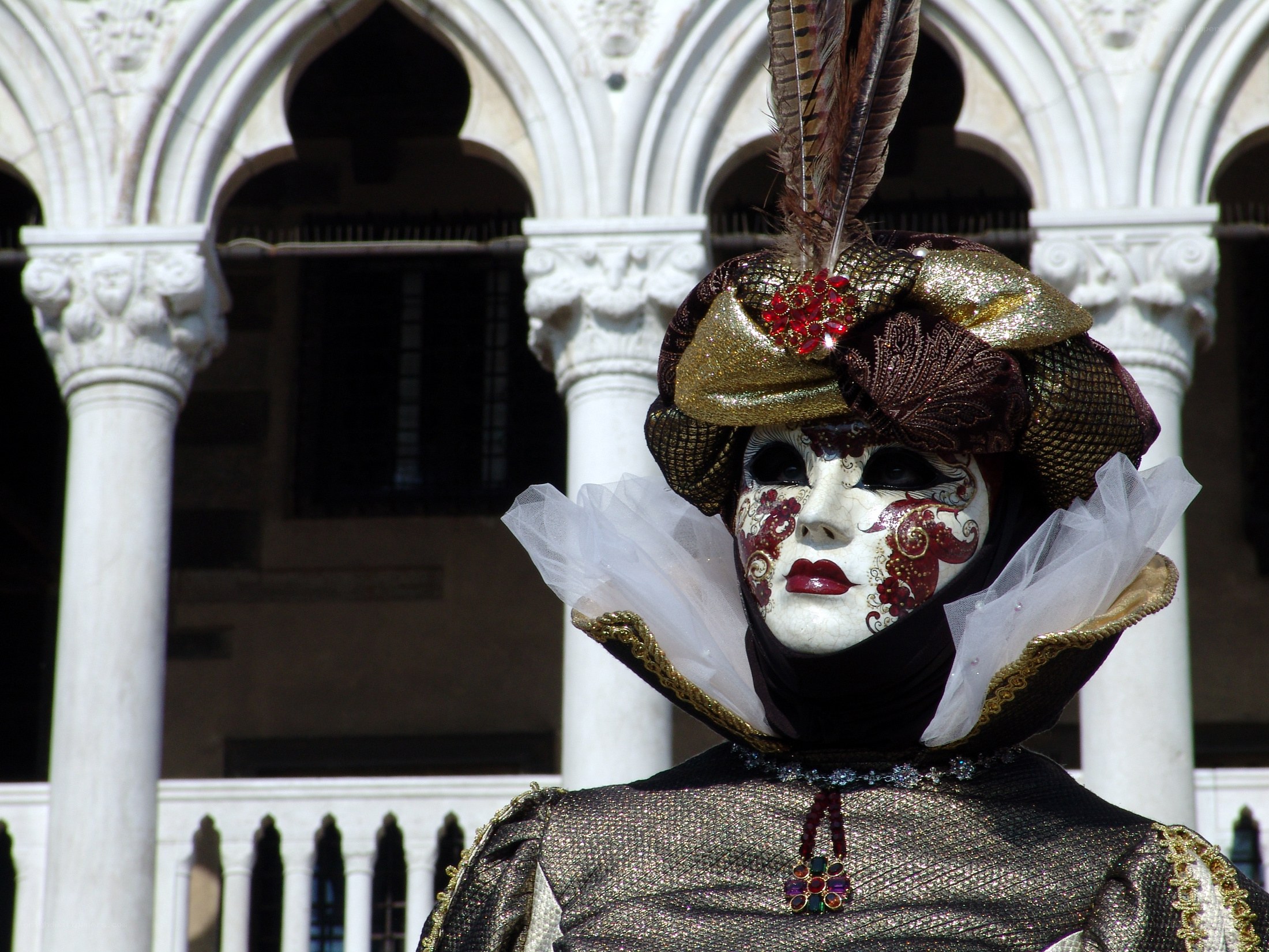 Venetian carnival mask