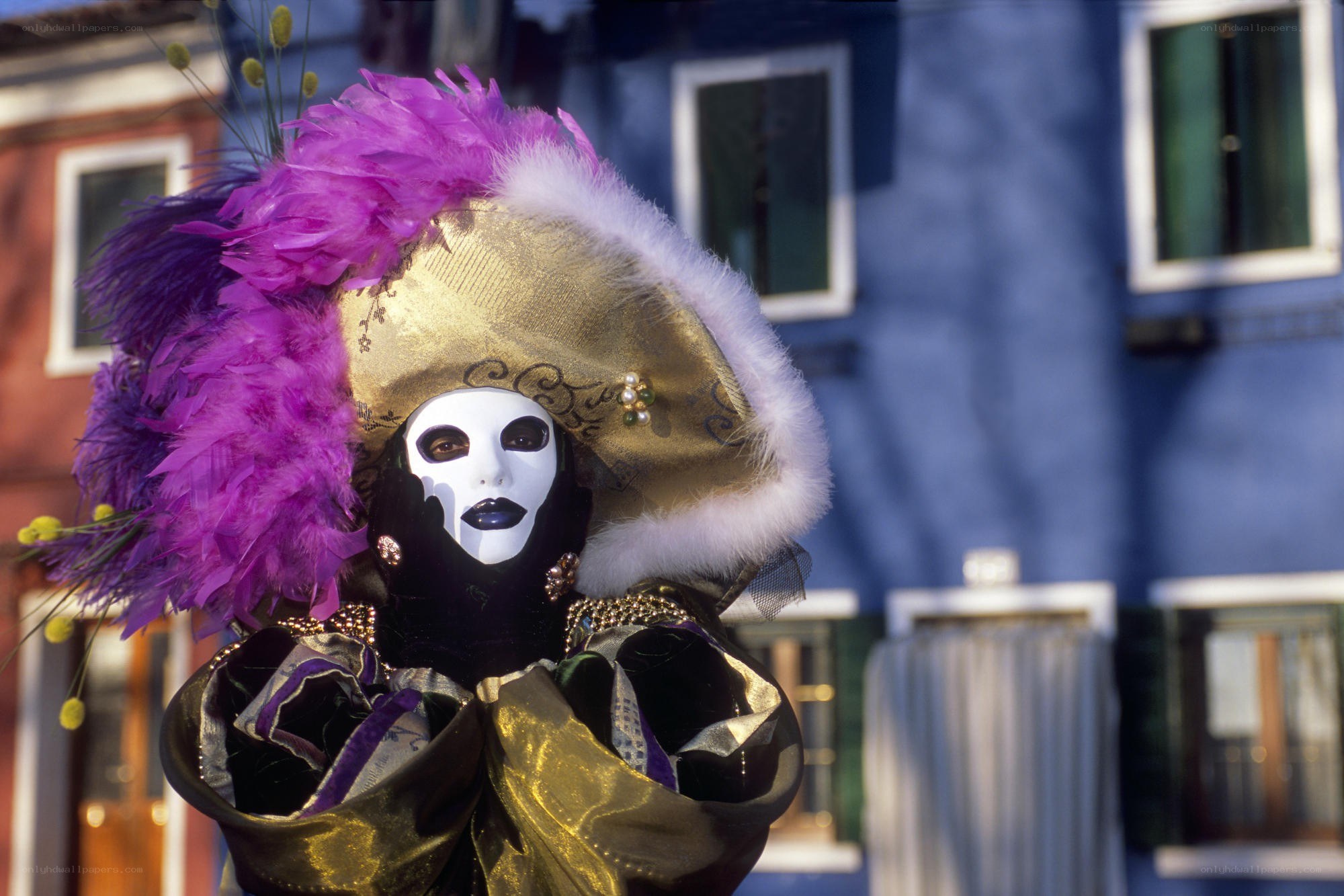 Venetian carnival mask
