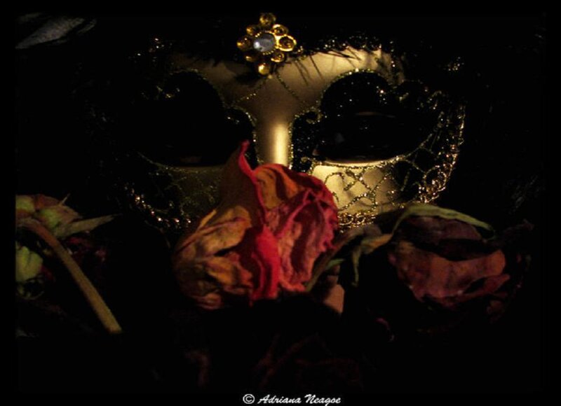 Venetian mask with dried rose