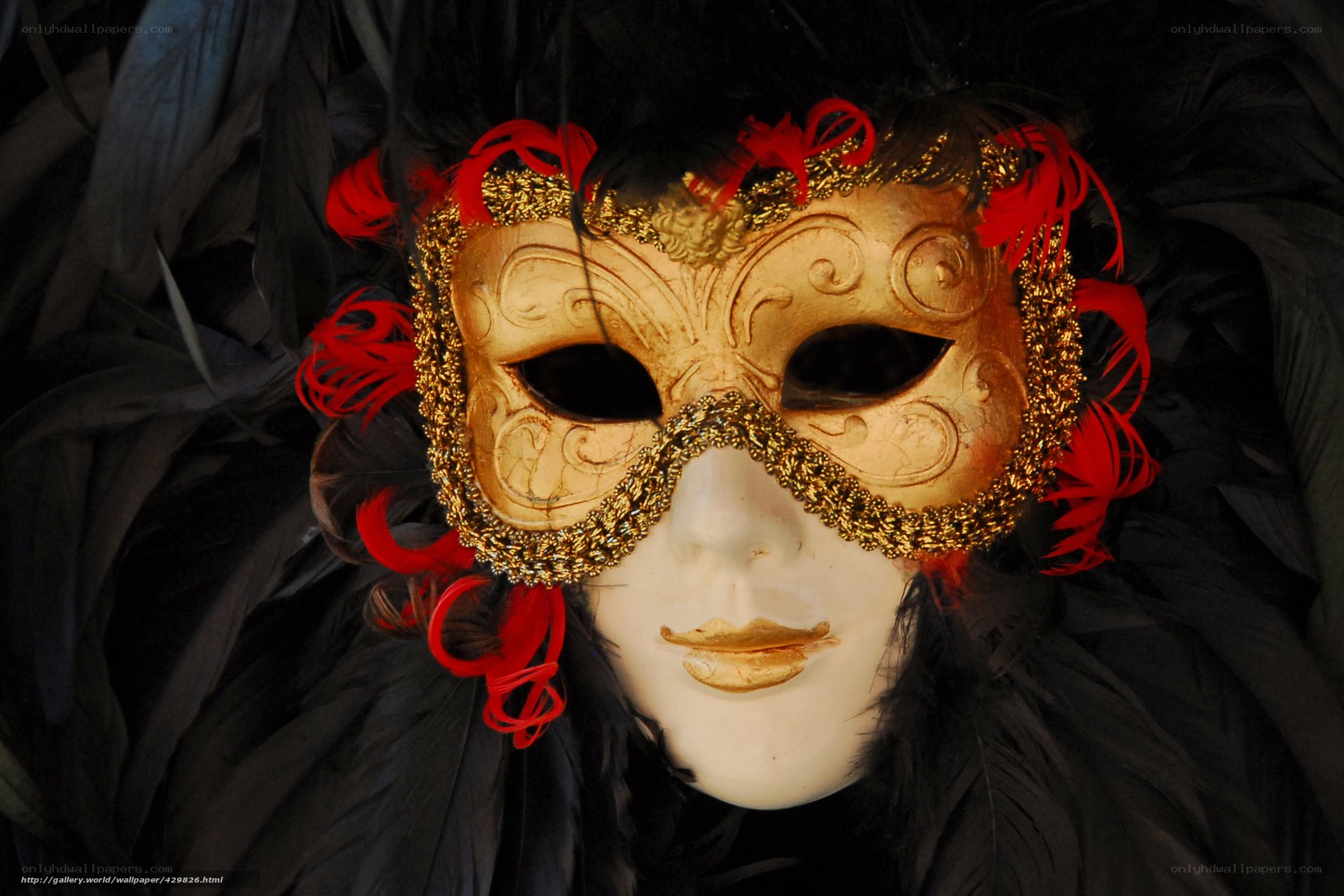 Venetian mask with feathers
