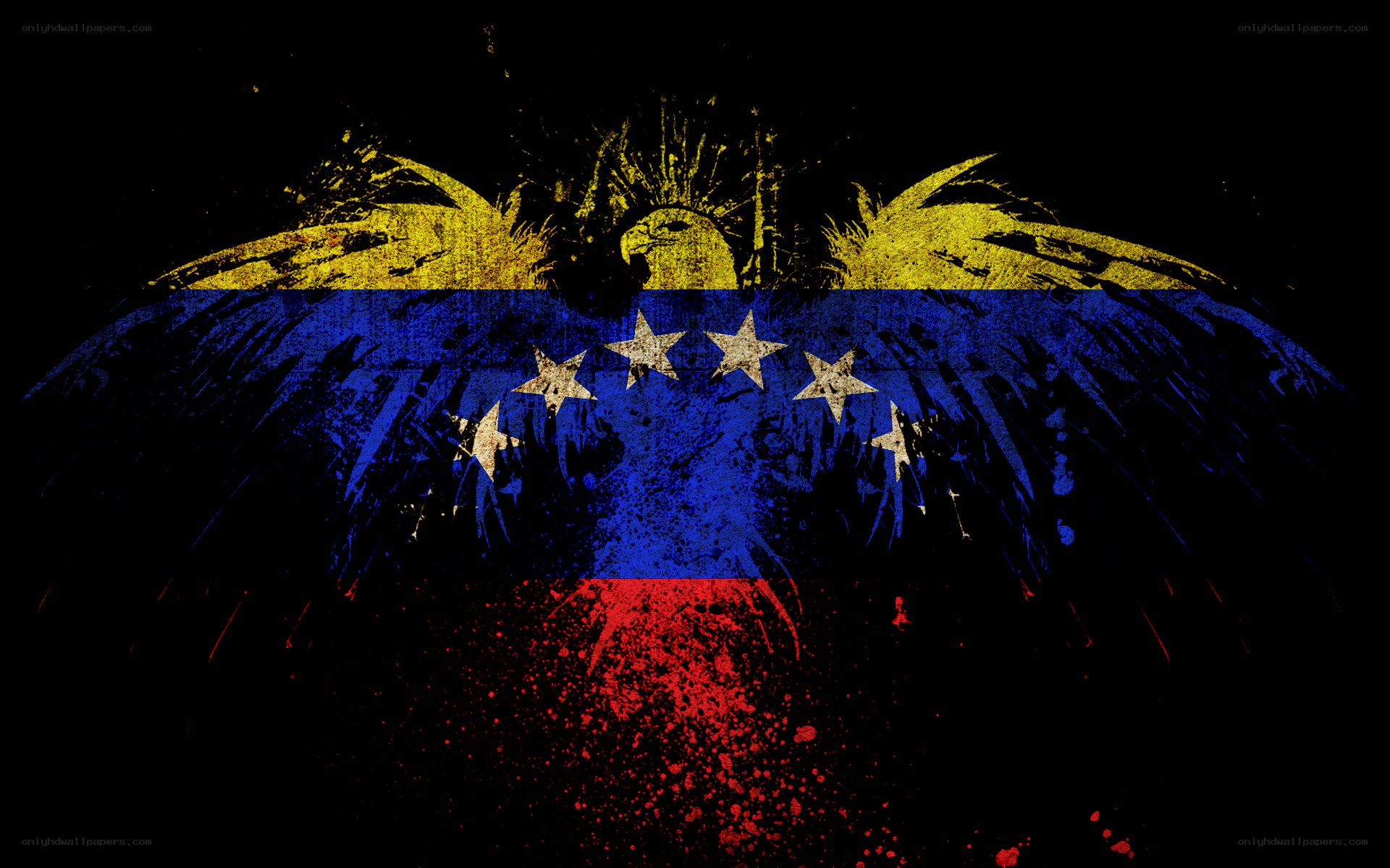 Venezuela flag with eagle