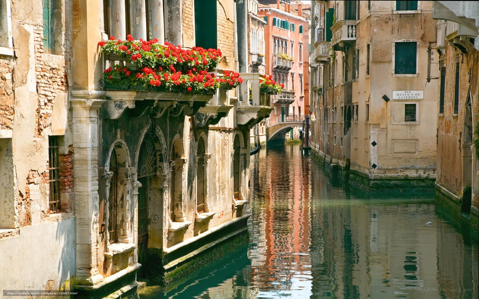 Venice canal with flowers