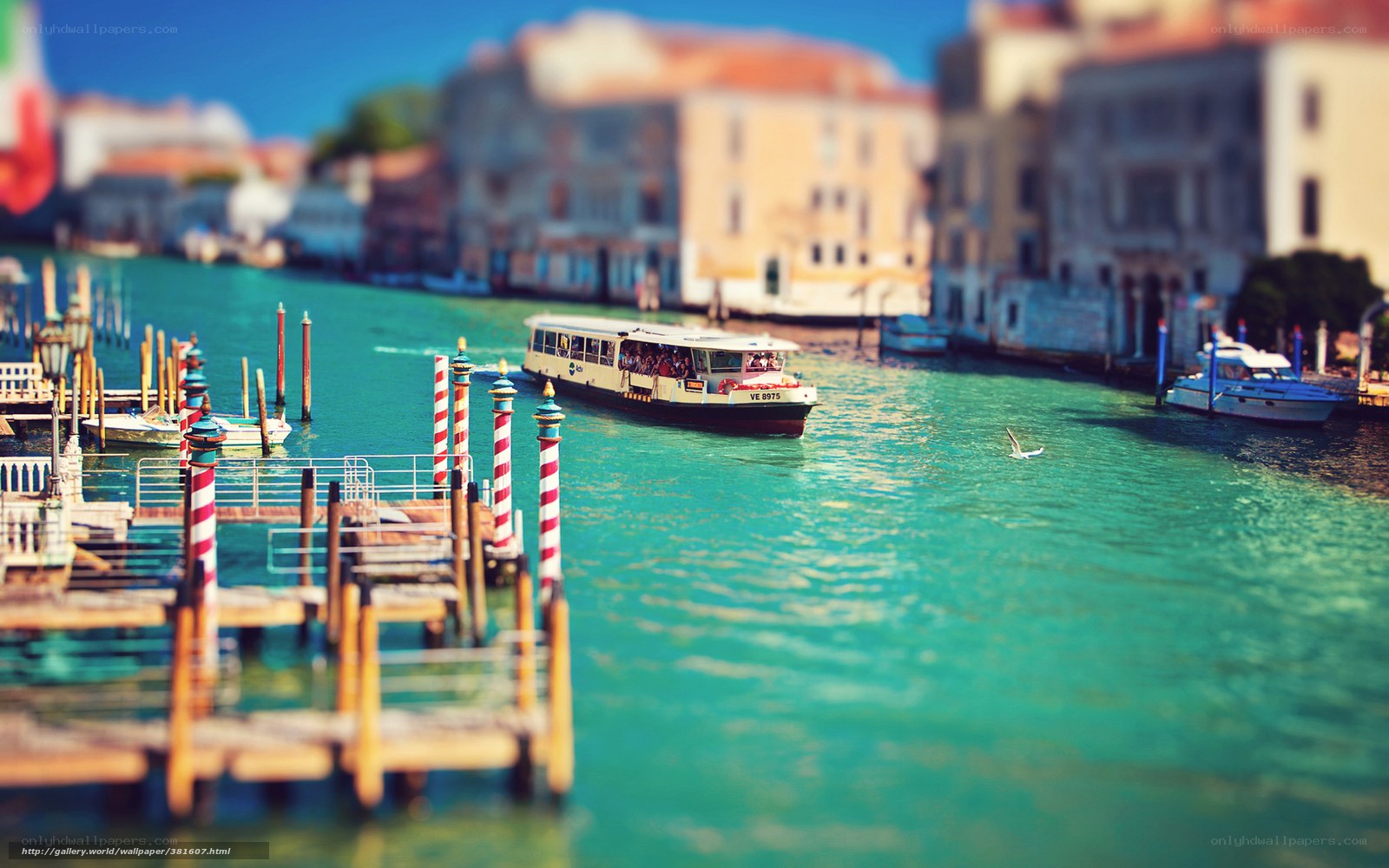 Venice canal with water taxi
