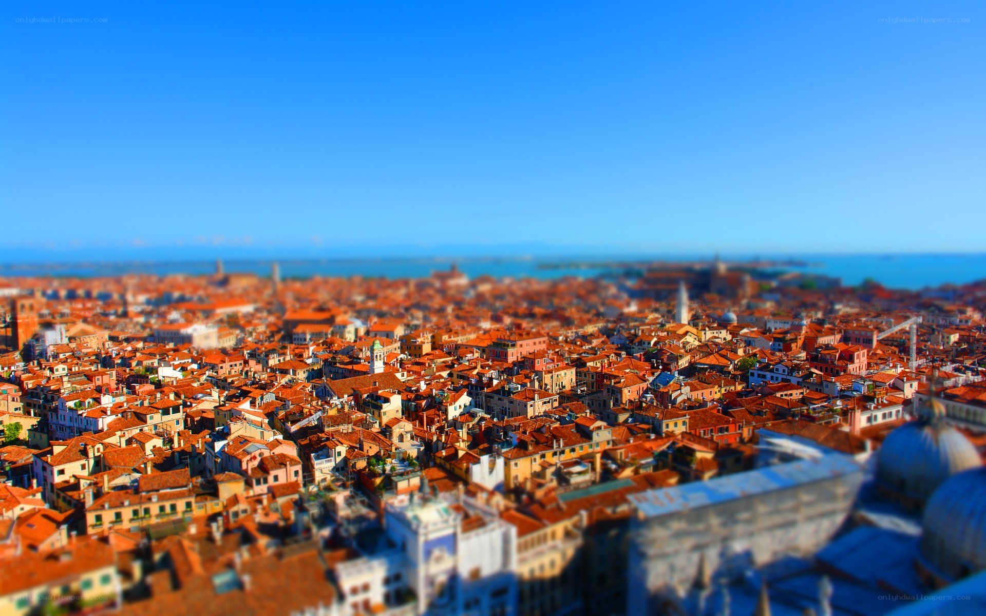 Venice rooftops view