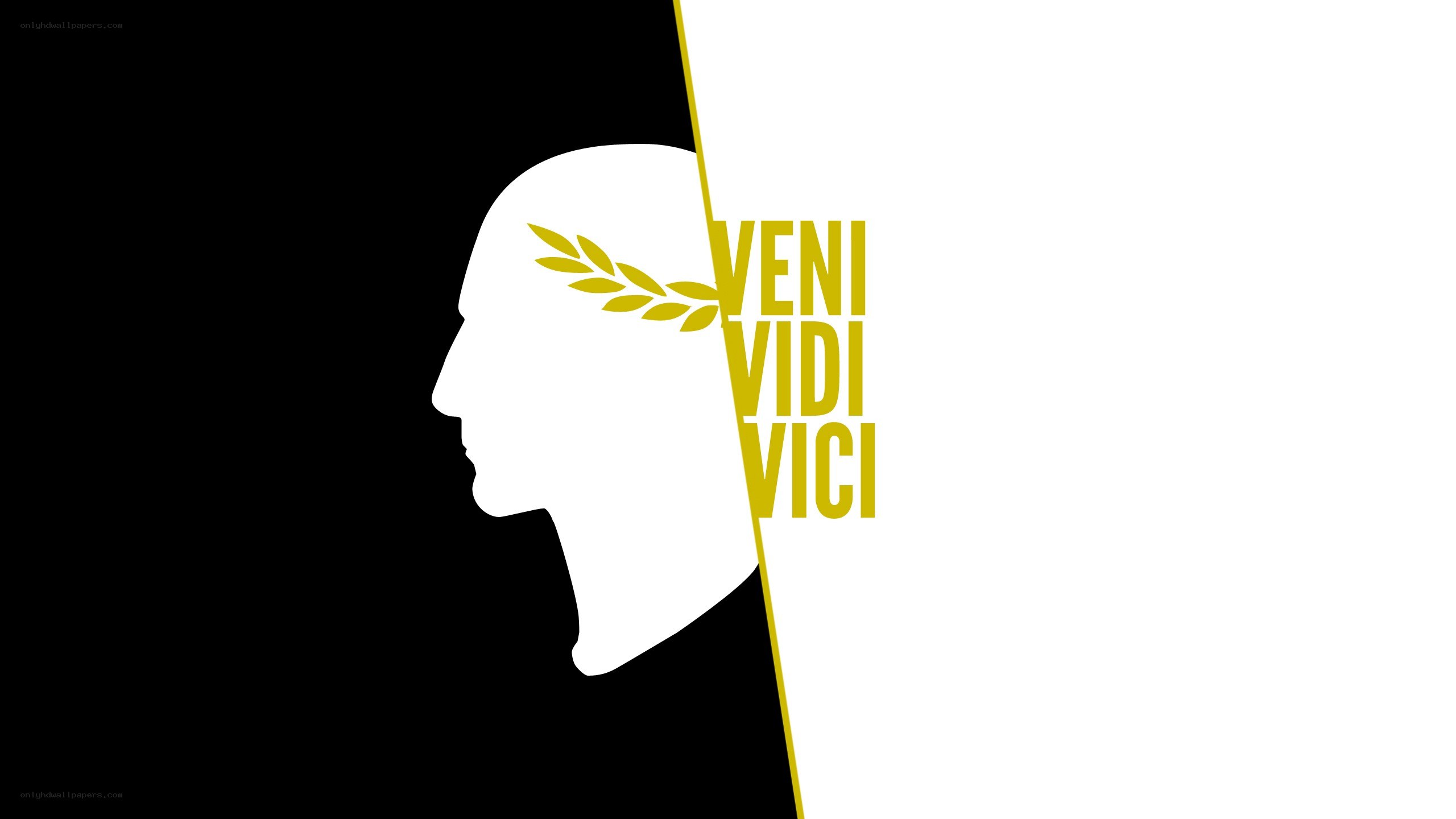 Venividi Vici logo