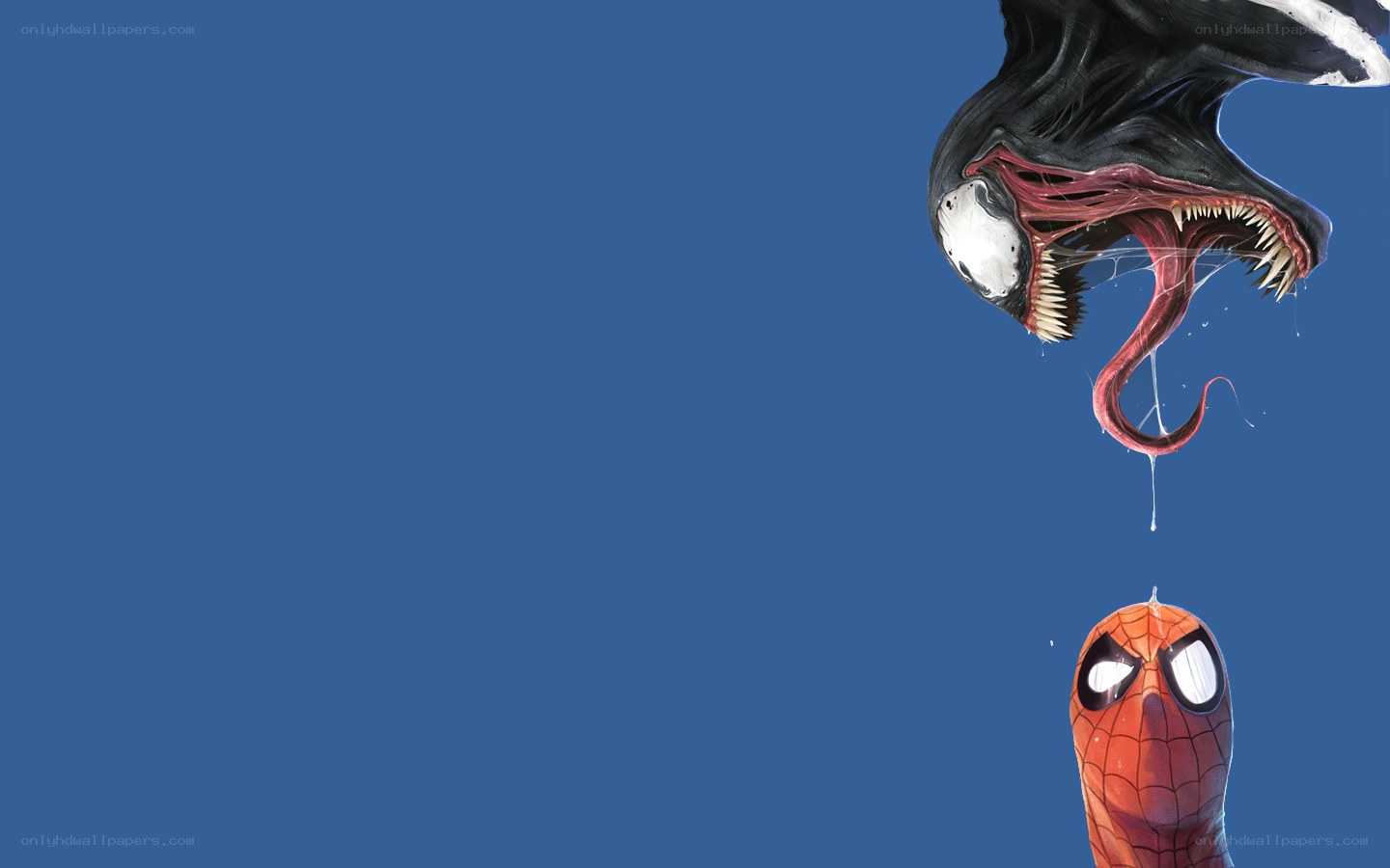 Venom vs Spider-Man