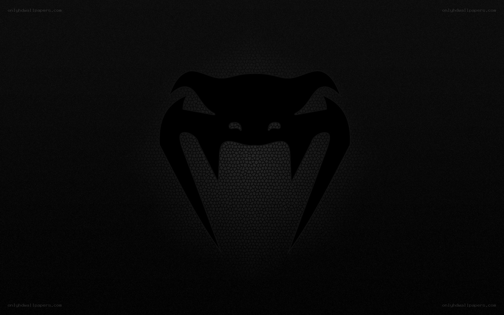 Venum logo on dark background