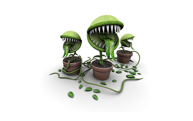 Venus Flytrap Plants — Green, Creepy