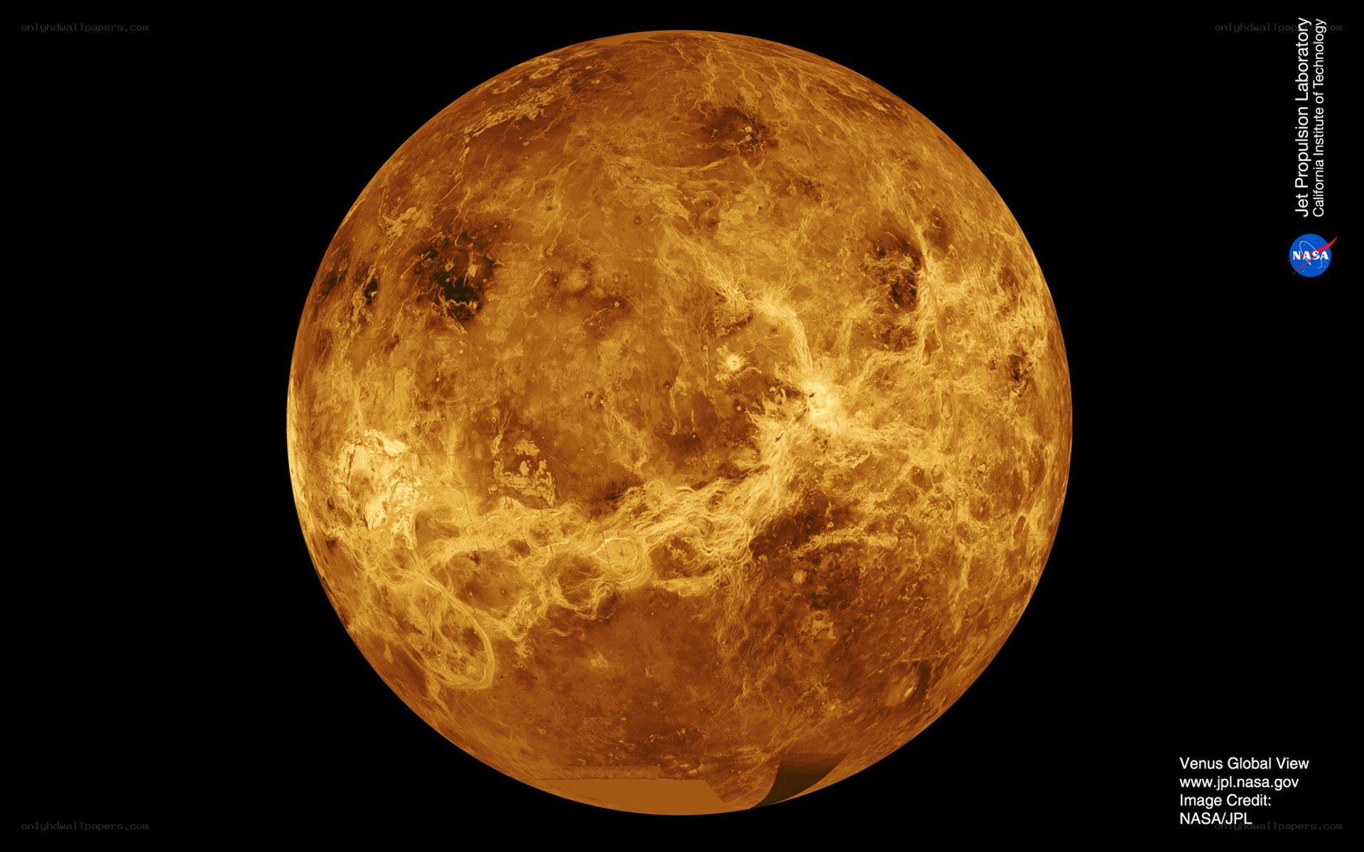 Venus global view