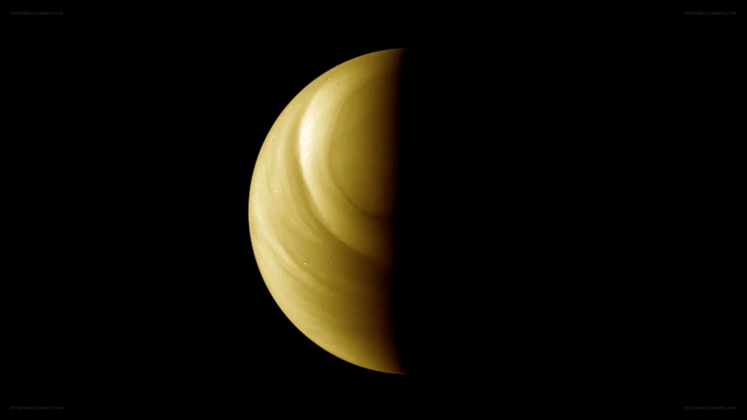 Venus in crescent phase