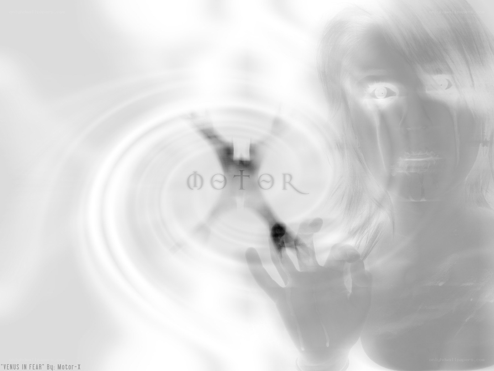 Venus in Fear artwork