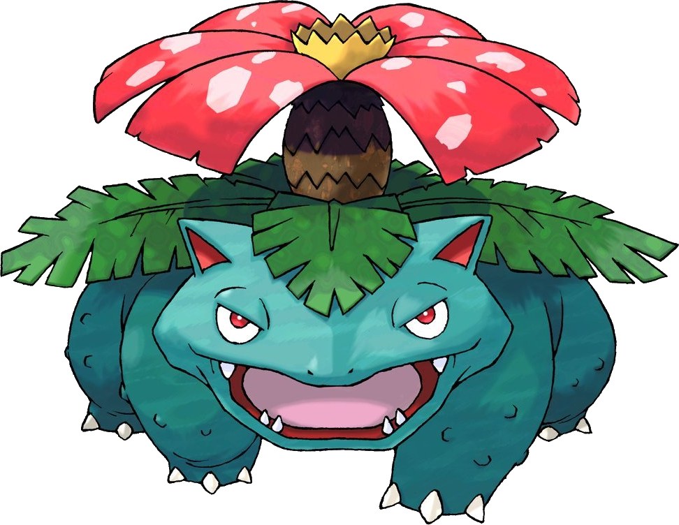 Venusaur from Pokémon