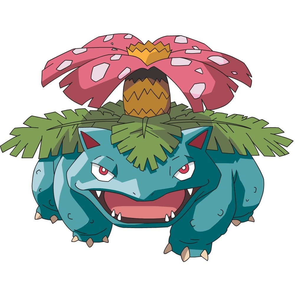 Venusaur from Pokémon