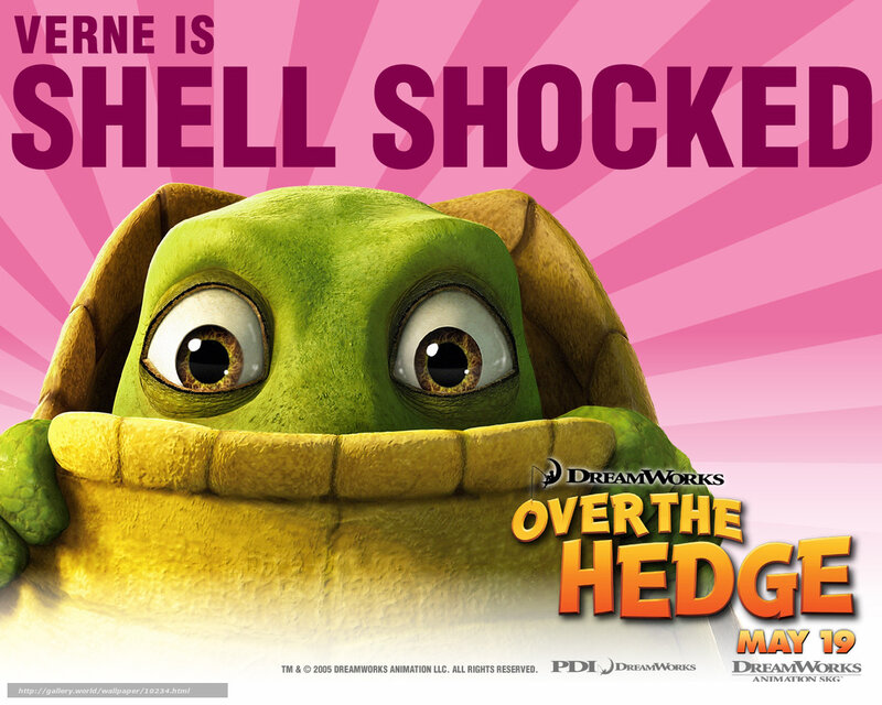 Verne is shell shocked