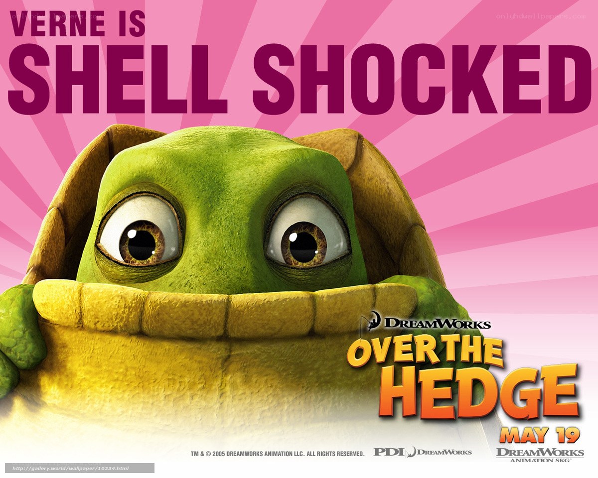 Verne is shell shocked