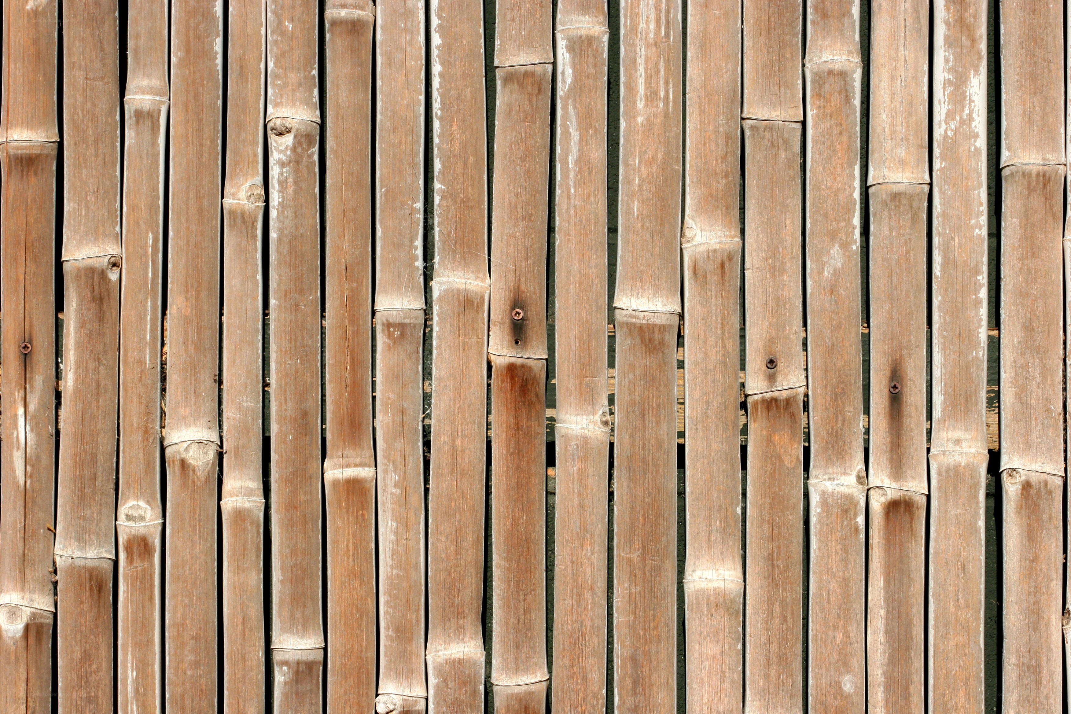 vertical bamboo pole texture