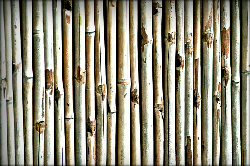 Vertical Bamboo Poles