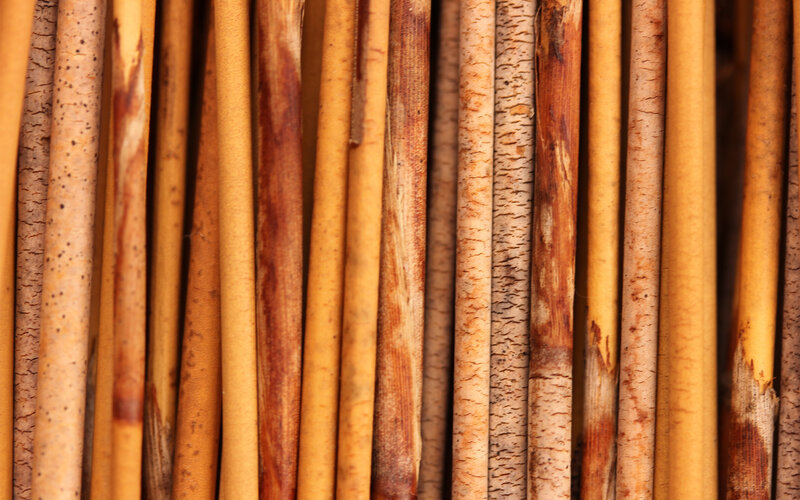 Vertical Bamboo Stalks — Brown