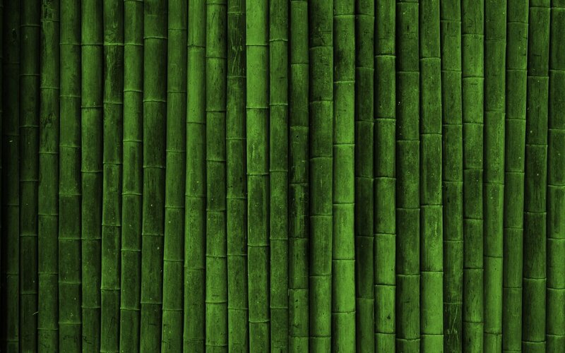 Vertical Bamboo Stalks — Green, Natural