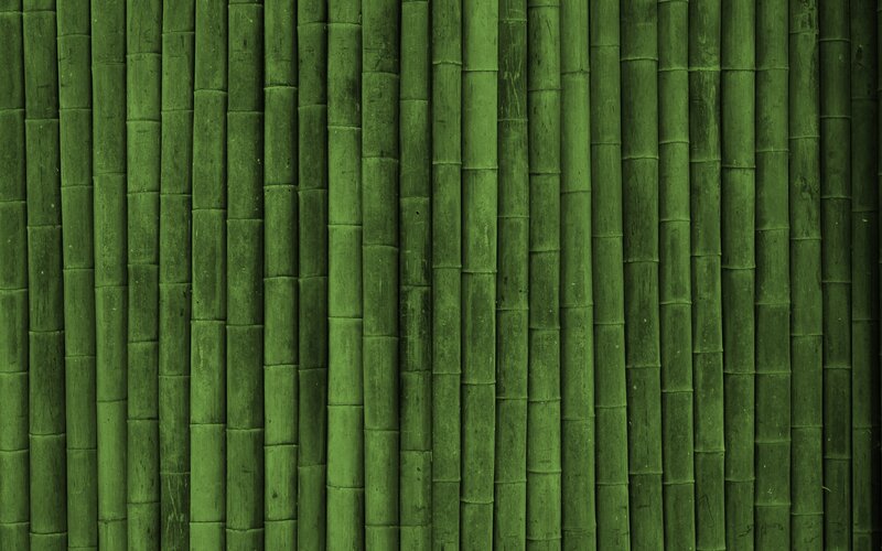Vertical Bamboo Stalks — Green