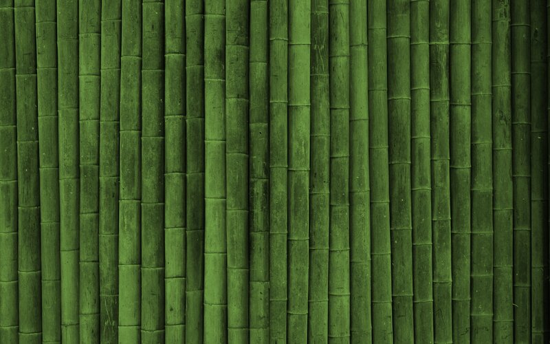 Vertical Bamboo Stalks