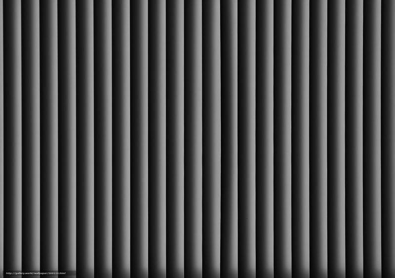 Vertical Black and White Stripes — Neutral