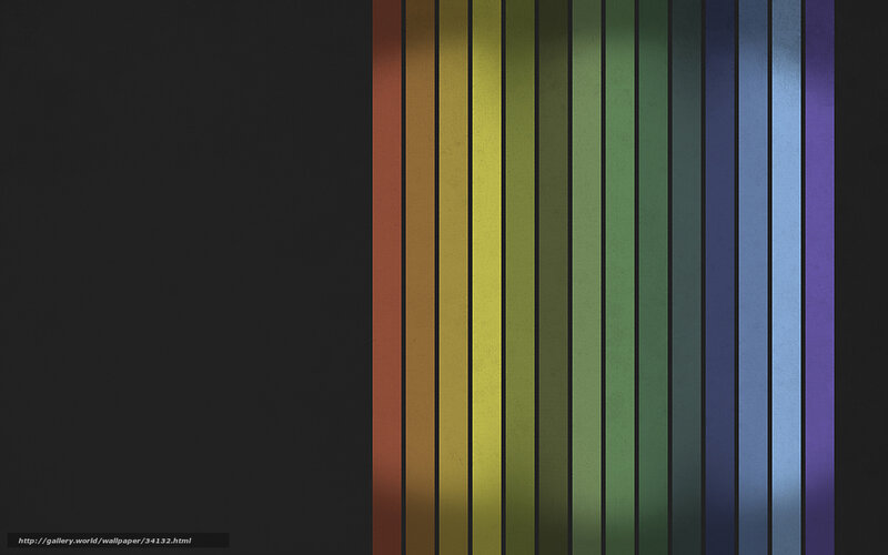 Vertical Color Stripes — Black