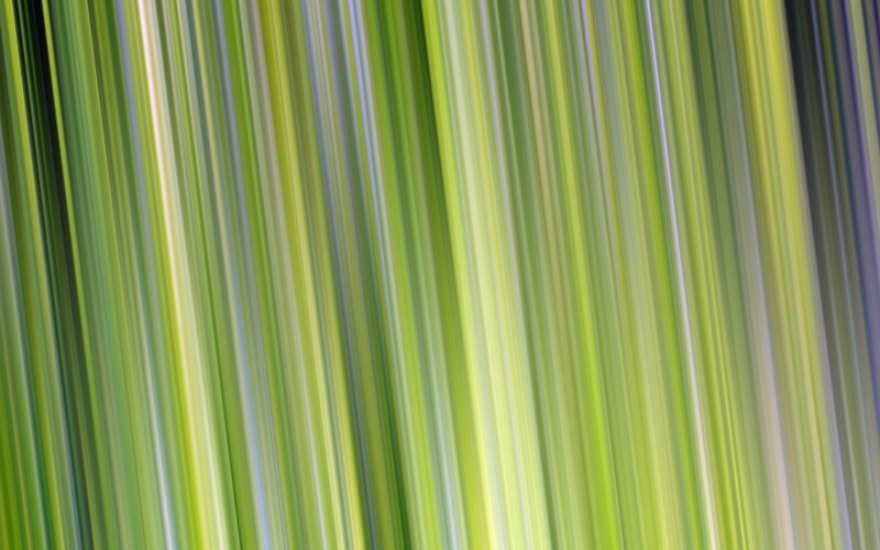 Vertical Green Stripes — Calm