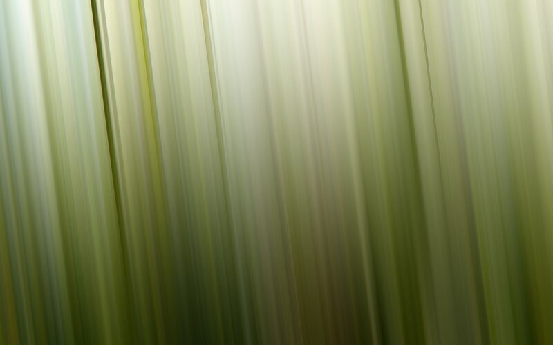 Vertical Light Streaks — Green, Calm, Abstract, Yellow