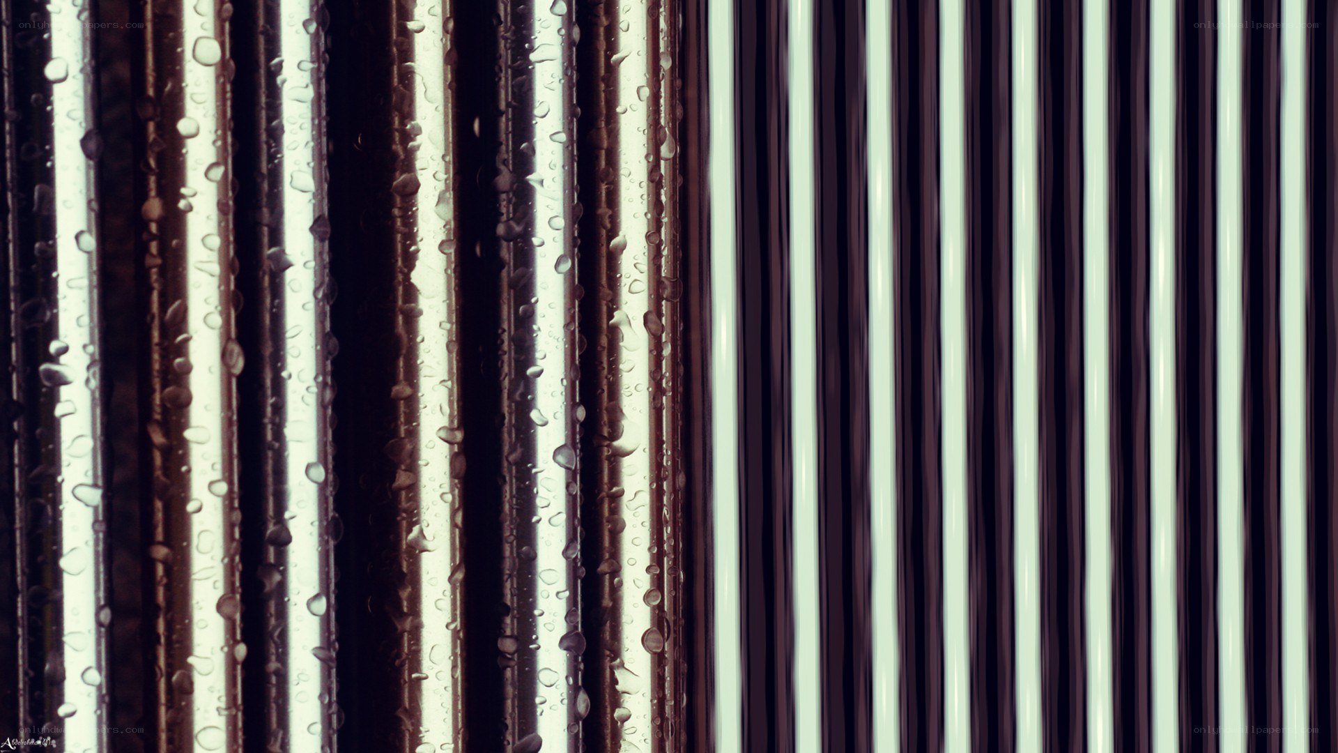 vertical raindrop-covered tubes
