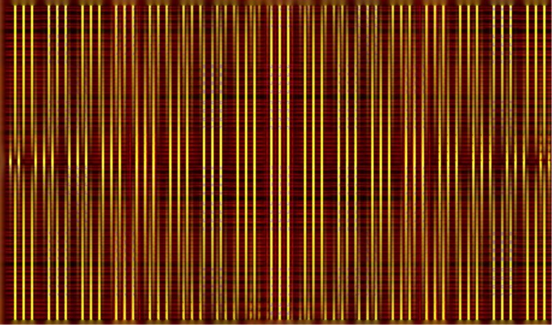 Vertical Yellow Lines