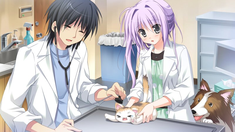 Veterinarian Examining Cat